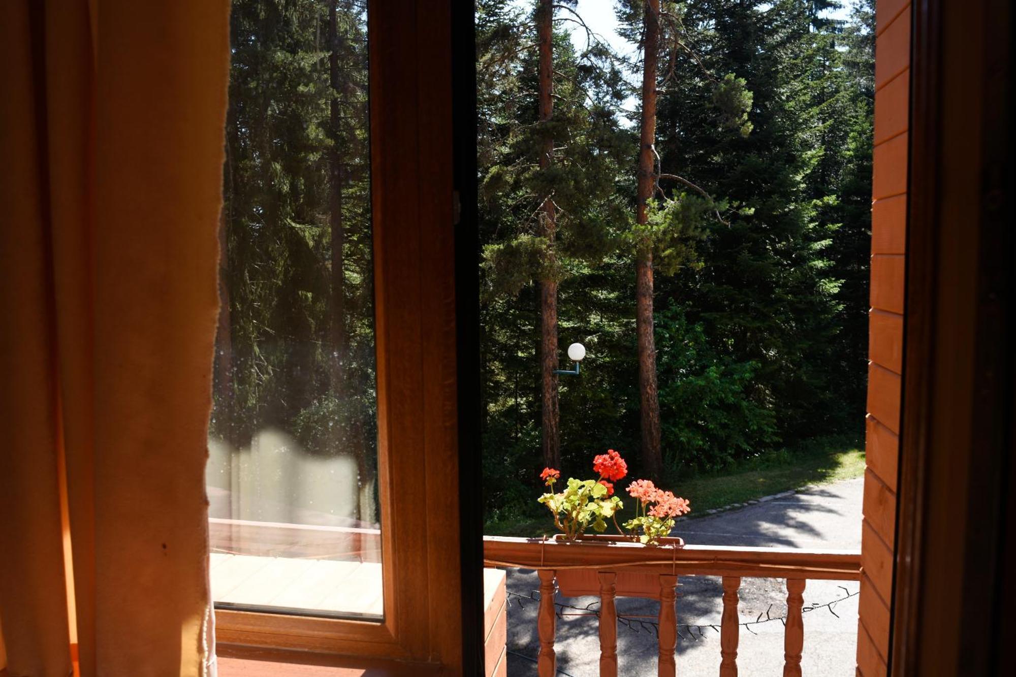 Ski Hotel Katerina Bansko Esterno foto